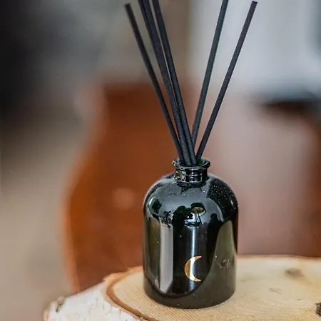 Niceone Number 5 - W Samym Centrum! * Wrocław