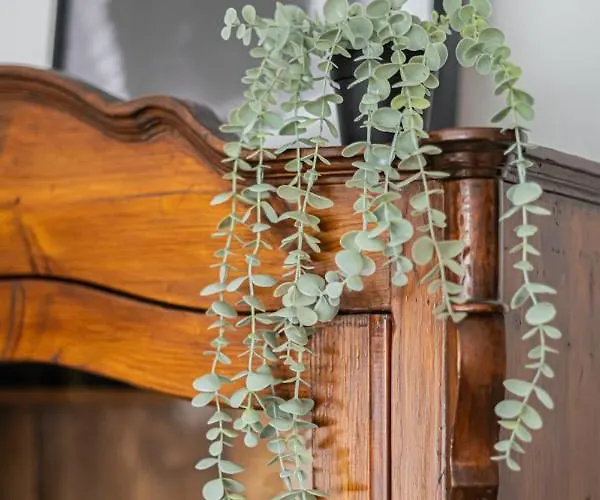 Niceone Number 5 - W Samym Centrum! 公寓 *