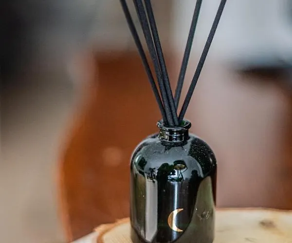 Niceone Number 5 - W Samym Centrum! * Wrocław